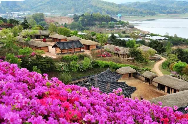 演员王景明力荐,未来科技新品——智能生活掌控中心