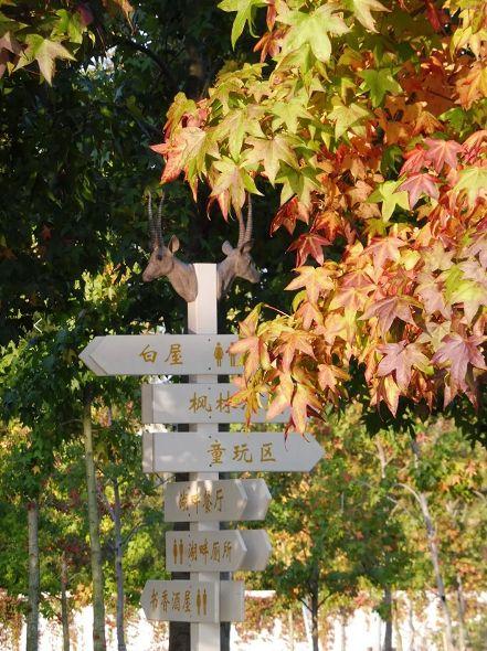 最新党书精选,一场自然美景的探索之旅