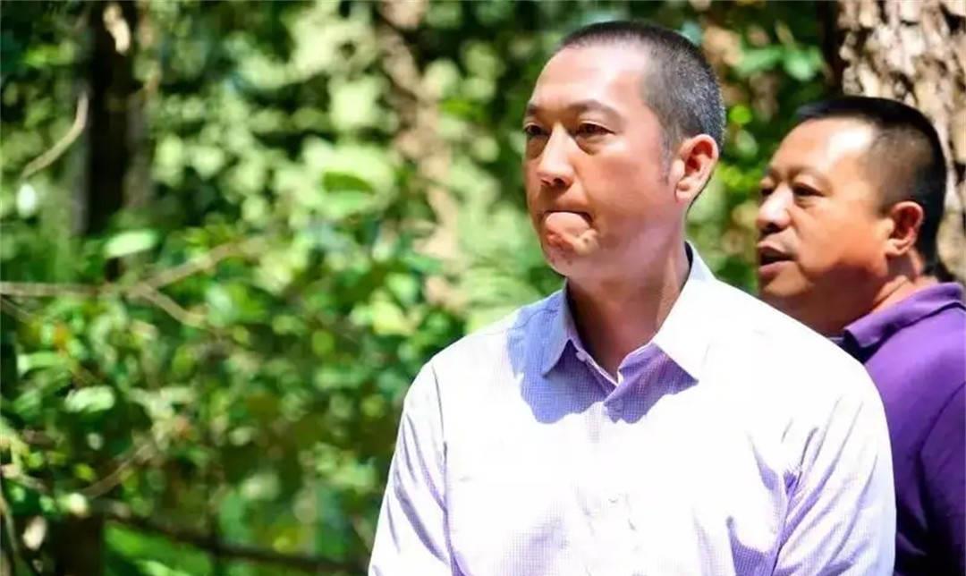 墓道电视剧全集免费观看,深度解析剧情与人物关系