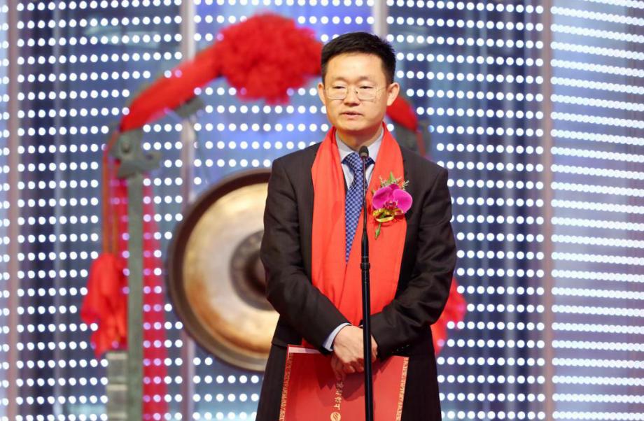 公司上市,风险背后的机遇与成长之路