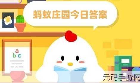 蚂蚁庄园今日答案最新,小巷中的美食秘境探秘