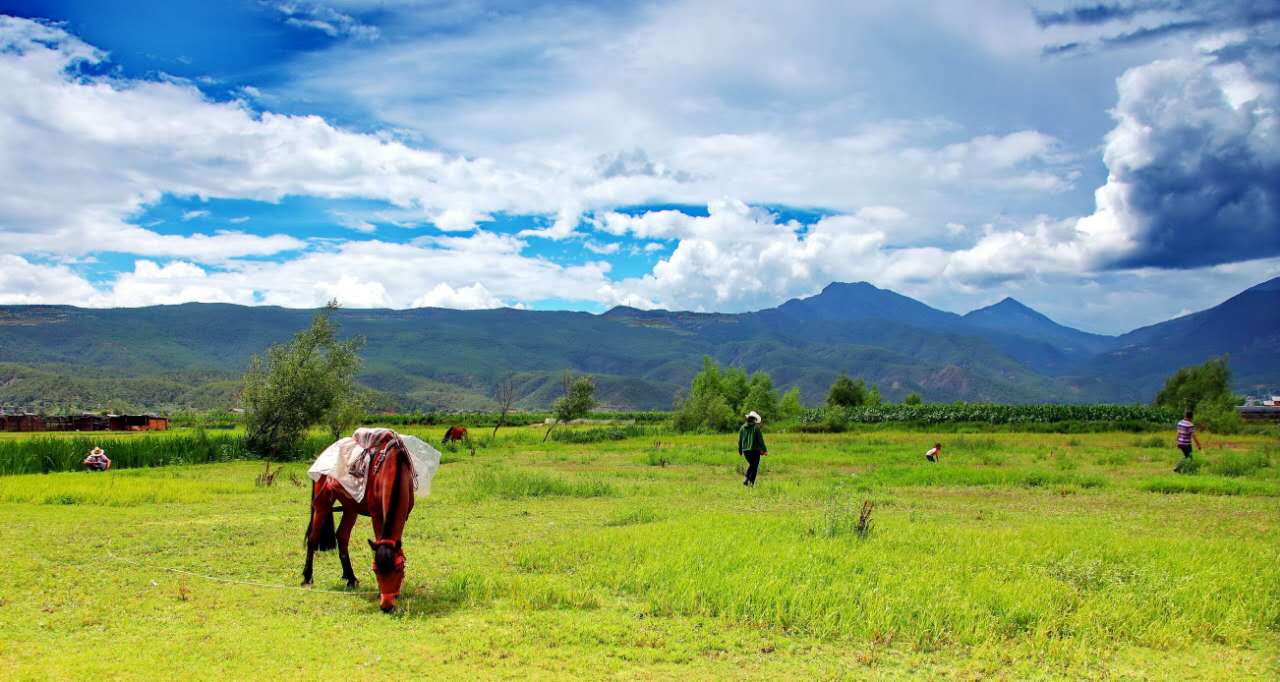 金寨新闻快讯,自然之旅,探索内心平静的奇妙旅程