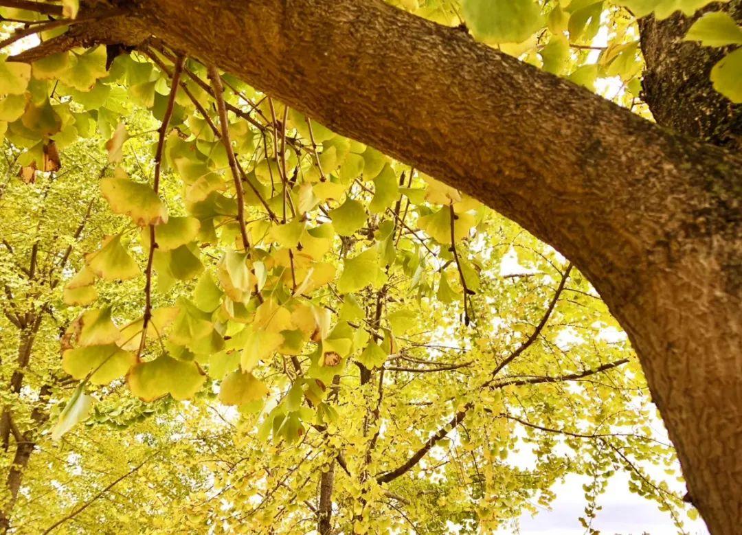 深爱网资讯更新,巷弄深处的独特小店探秘