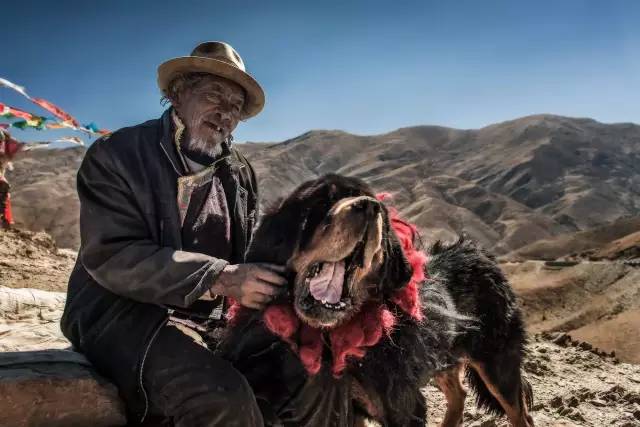 拳皇最新版更新,自然美景之旅的呼唤与内心的宁静