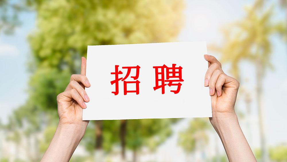 澄县招聘信息大揭秘,小巷中的独特机遇