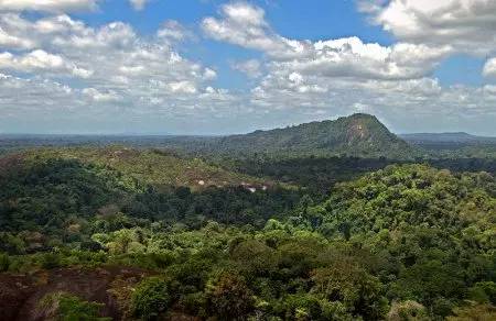 亚马逊最新订单,一场自然美景的探险之旅,启程寻找内心的平和与宁静
