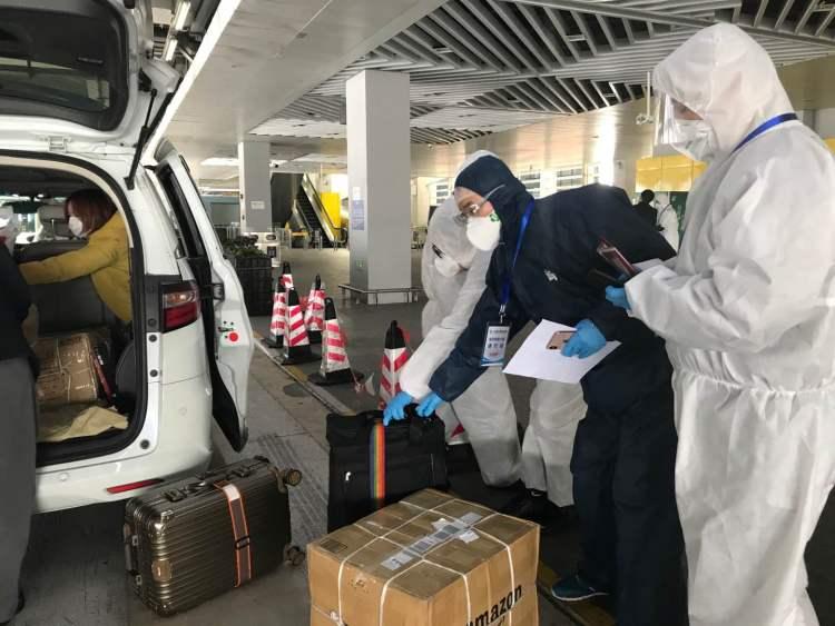 上海入境最新动态,归家的奇遇与重逢的喜悦