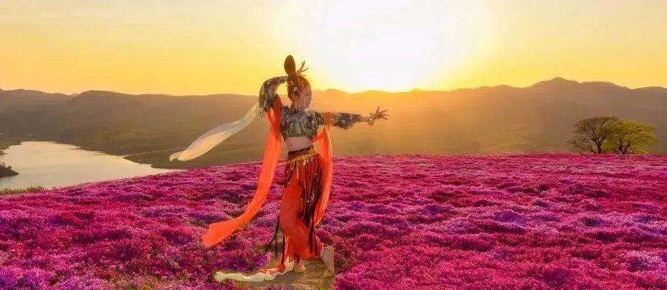 广西马山县最新交通事故背后的故事,一场自然美景之旅的启示