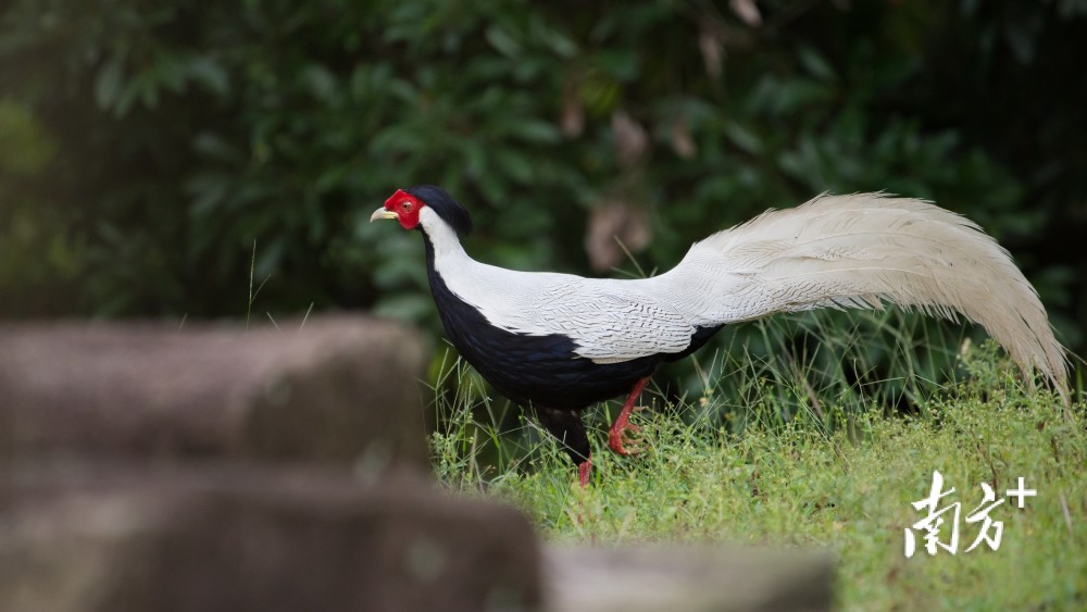 最新潮州市委领导动态,一场自然美景的探索之旅