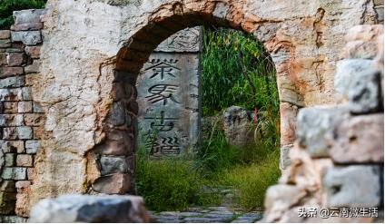 重庆南岸茶园动态更新——科技与生活共舞的新纪元