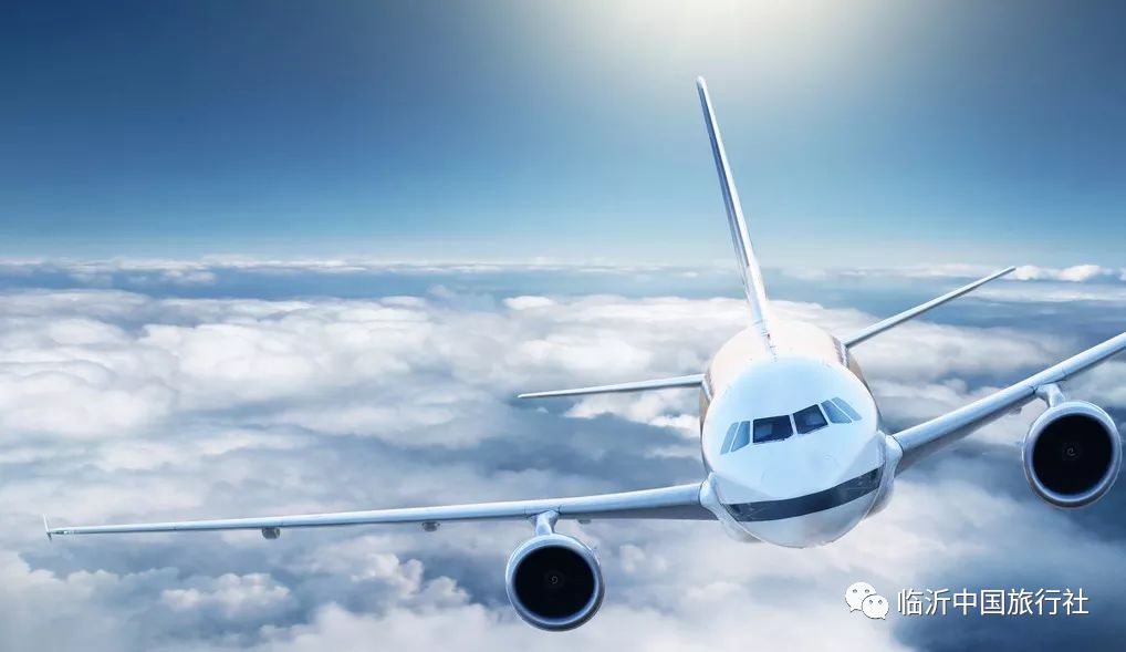 失事飞机最新消息,飞行中的奇遇与真挚情感纽带