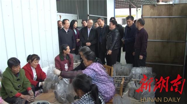 芷江最新资讯,高科技产品引领未来,体验科技魅力改变生活