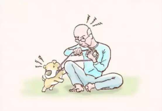 最新链接24,温馨的日常小故事