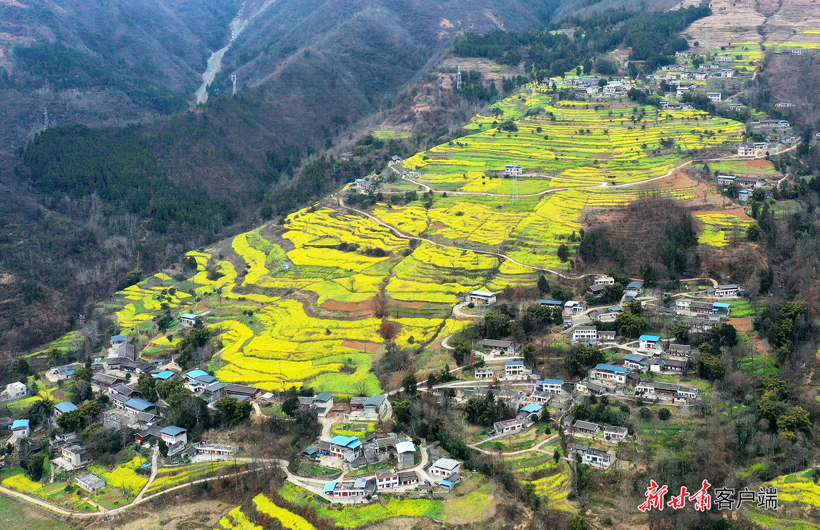陇南市政府韩东武最新消息,与自然美景的邂逅,寻找内心的平和之旅