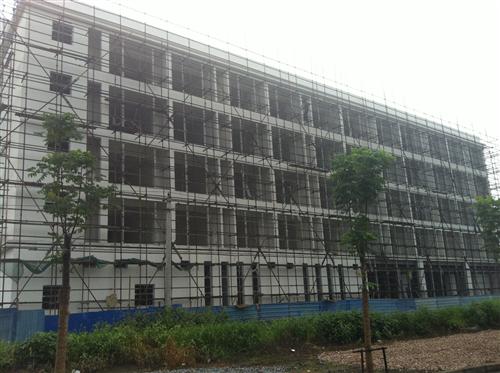 芜湖康卫的最新动态——一个温馨有趣的日常故事