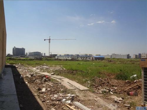 芜湖康卫的最新动态——一个温馨有趣的日常故事