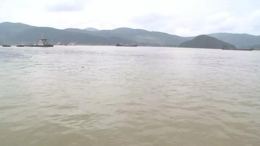 长江最新汛情,多方观点分析与个人立场阐述