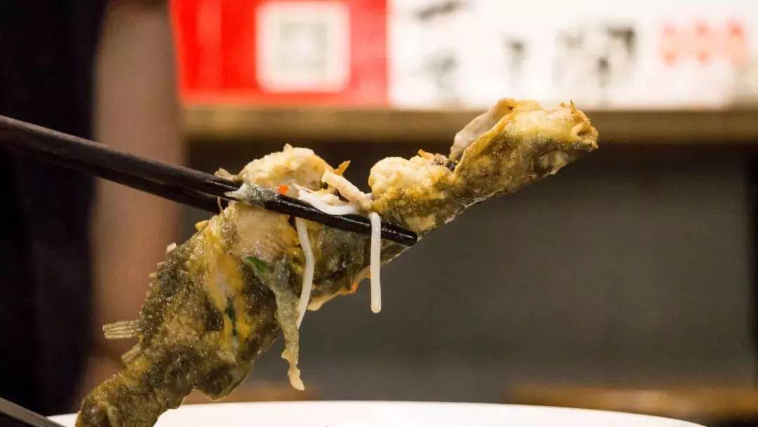 2016年人与动物的最新动态,小巷深处的特色小店