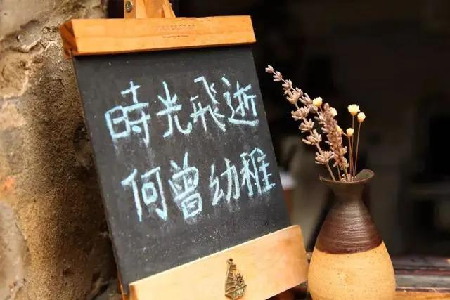 2016年人与动物的最新动态,小巷深处的特色小店