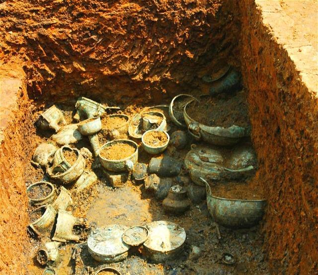 熊胆价格,小巷深处的秘密宝藏