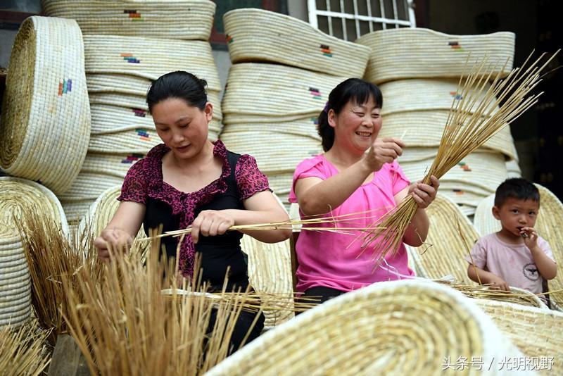 临沂玉米价格动态