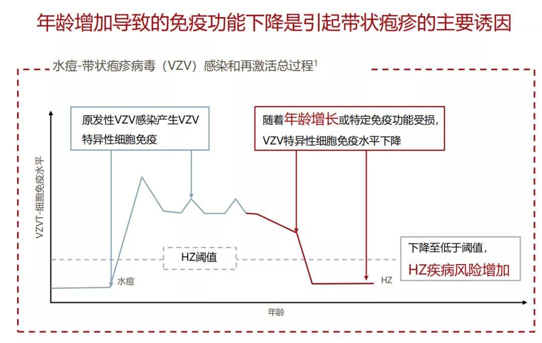 央视报道疱疹研究新进展,疱疹防治的详细步骤指南