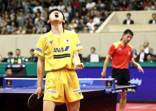 乒乓球男子单打最新排名,小巷深处的特色小店探秘