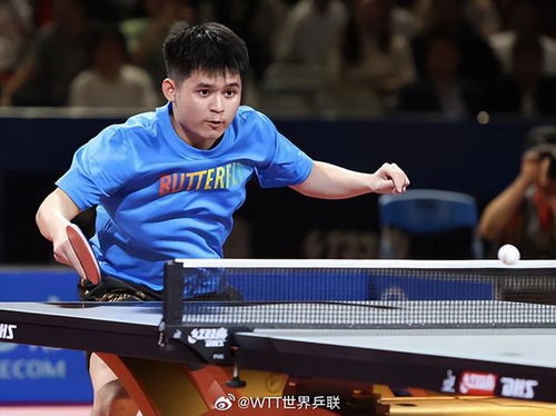 乒乓球男子单打最新排名,小巷深处的特色小店探秘