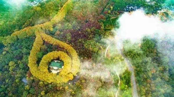 仙逆电视剧,一场自然美景的探险之旅,寻找内心的平和与喜悦