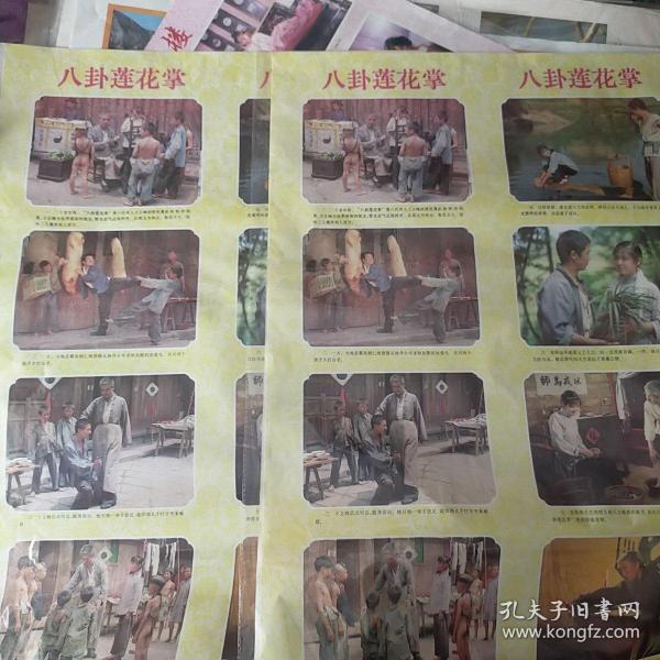 八卦莲花掌演员表——踏上一场自然美景的心灵之旅