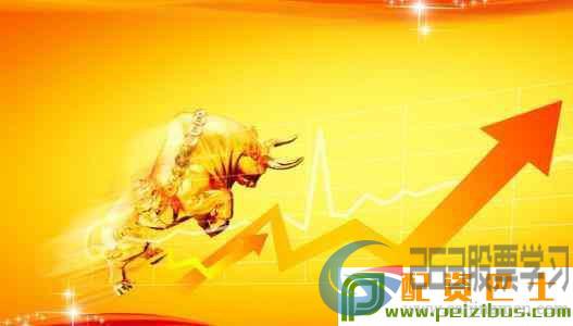 股票意思是什么——初学者入门指南