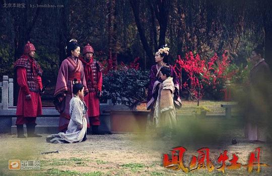 凤凰牡丹电视剧全集免费观看——探寻小巷中的影视宝藏