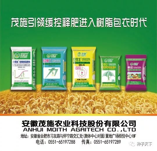 唐山邦力尿素最新价格——科技的力量,重塑生活品质