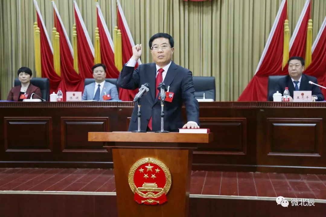 武清区委最新人事任免