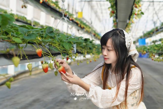 南京溧水最新动态,湖畔的温馨时光