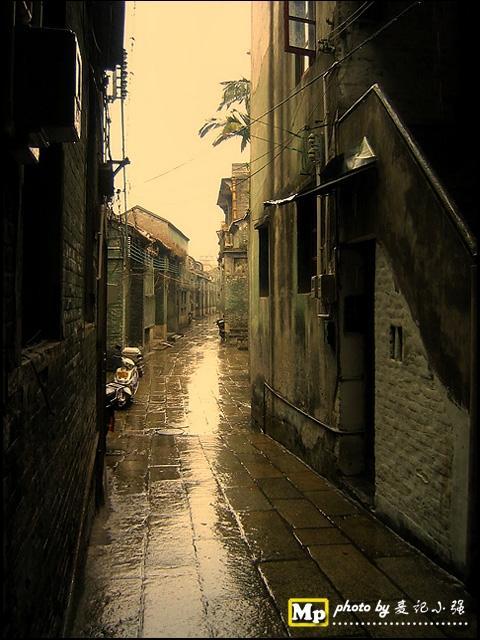 红影最新章节,小巷深处的独特风味探秘