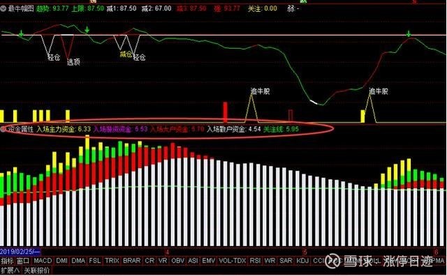 股票主力资金流入流出怎么看——详细步骤指南