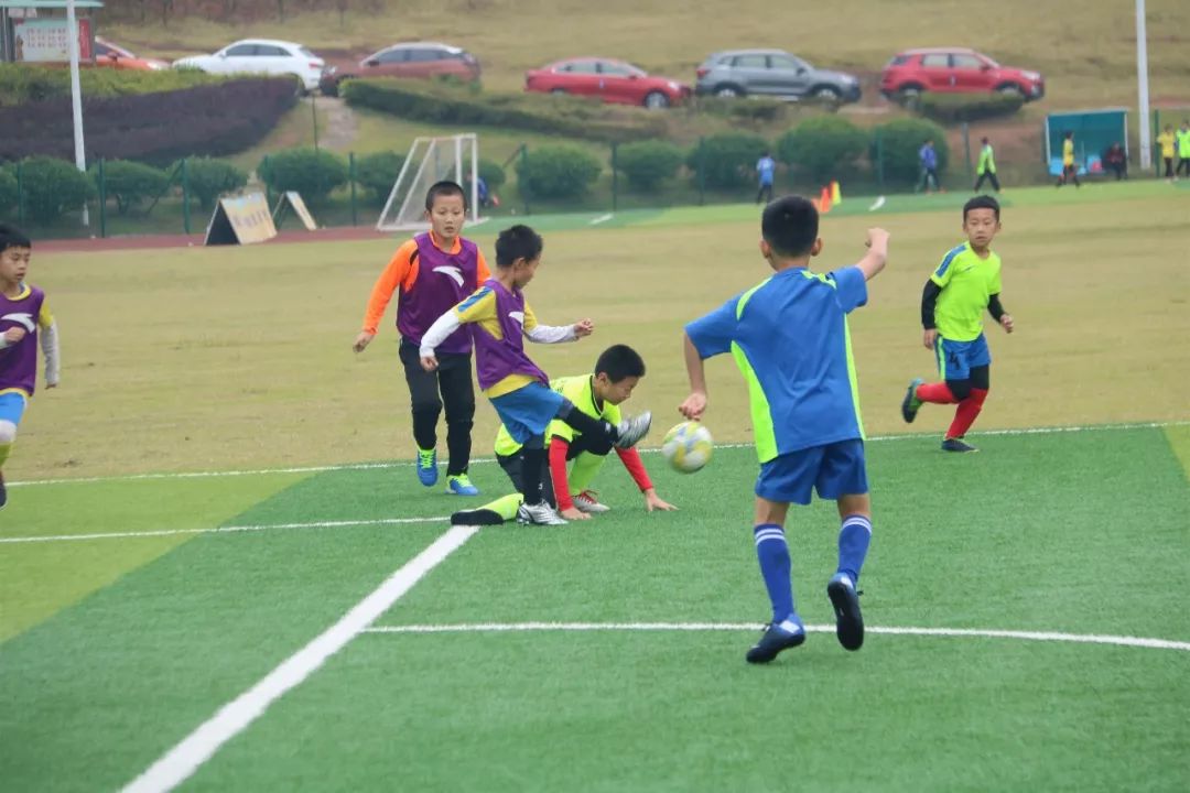 足球比赛视频,观看、学习与提高的详细步骤指南