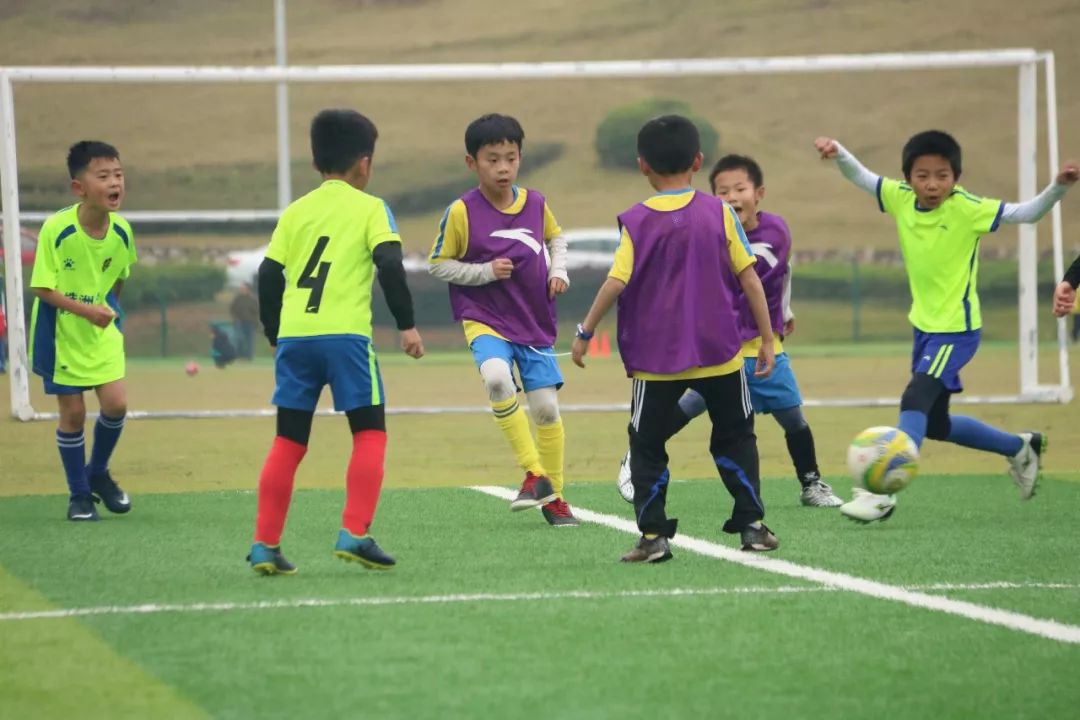 足球比赛视频,观看、学习与提高的详细步骤指南