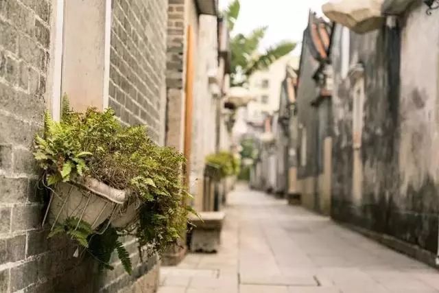 黄柏霖最新作品,探索小巷中的独特风味——一家隐藏版特色小店