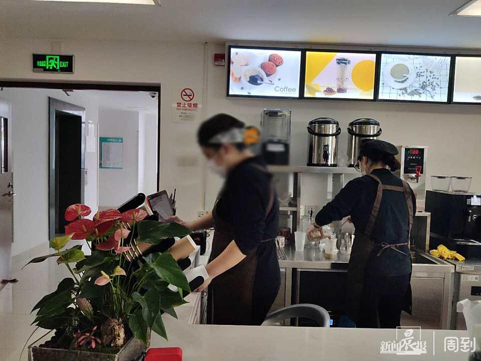 电影BT下载,一场自然美景的心灵之旅,启程寻找内心的宁静与平和