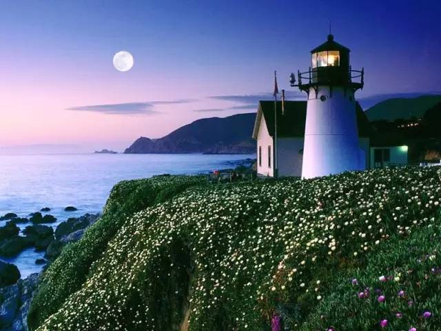 如何成为明星,一场探索自然美景的旅行,寻找内心的宁静