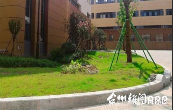 浦万快速通道最新进展🚗🌆