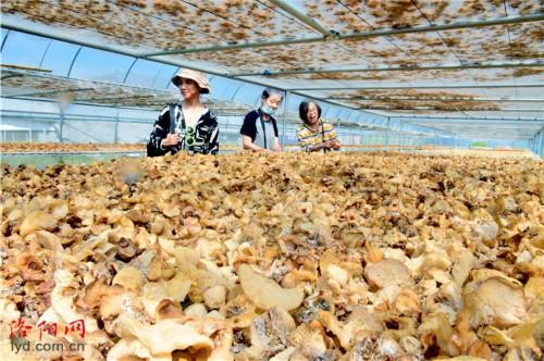 小货车新车价格大解密你的创业好帮手,小货车选购指南!