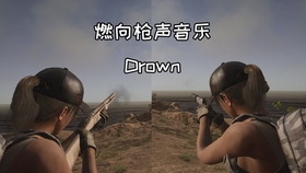 电影海之声,探索海洋的视听盛宴