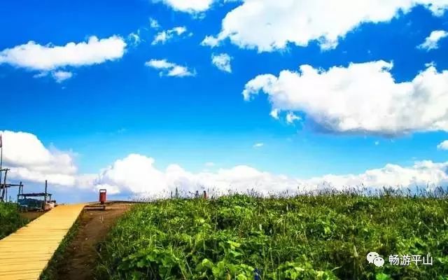 电视淘宝,一场自然美景的心灵之旅