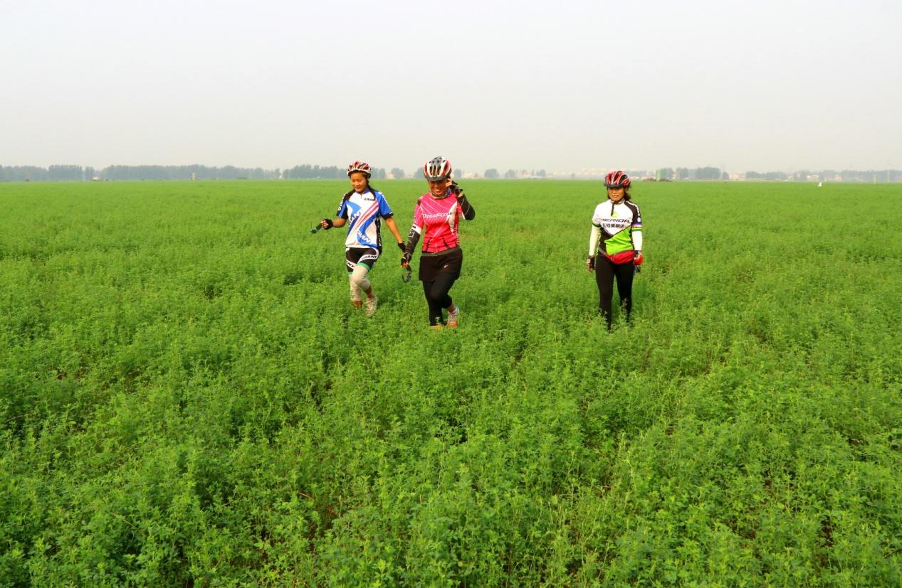 蚌埠女明星,璀璨之星闪耀演艺界