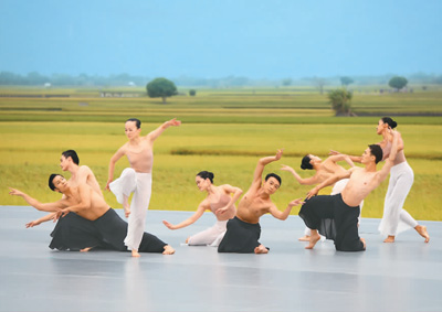 最新禾舞蹈表演,一场自然美景之旅的鼓舞与启示