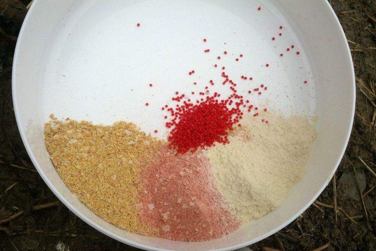 夏季老鬼鱼饵全新配方,深入分析与观点阐述