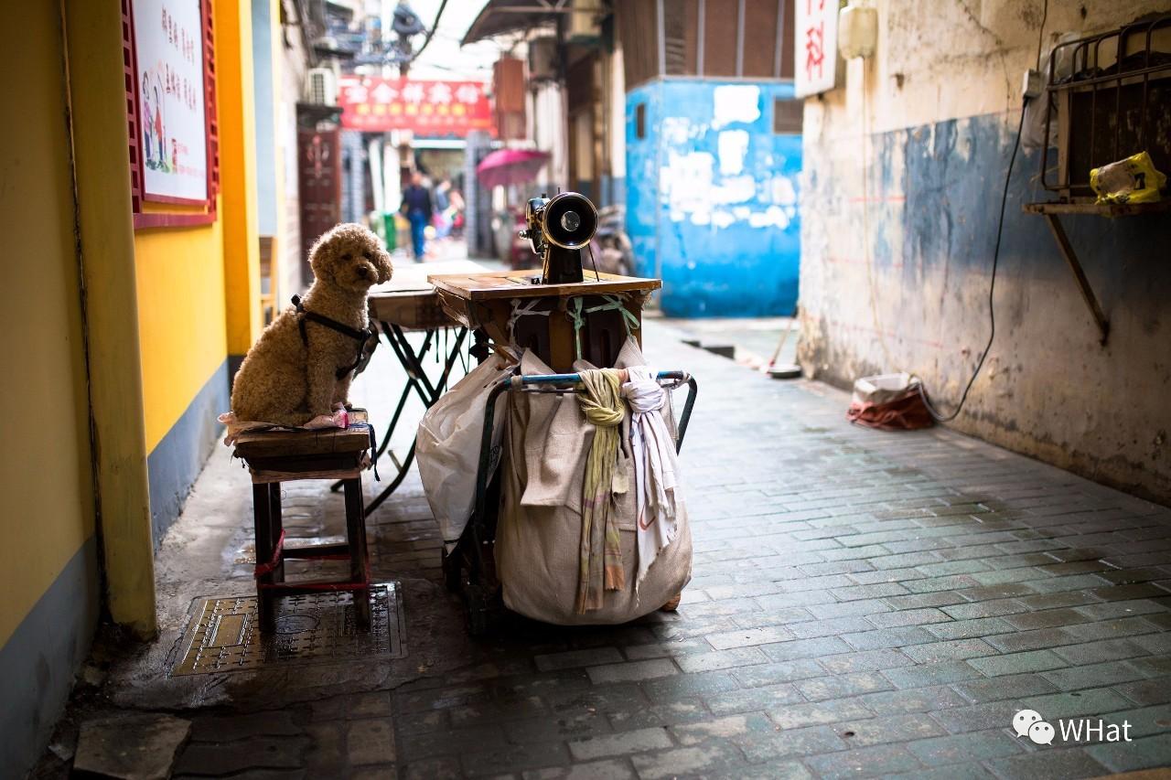 徐州和平壹号新动态,巷弄中的惊喜——特色小店探秘